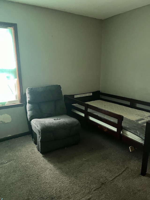 8427 Piedmont St, Detroit, MI 48228 - photo 5