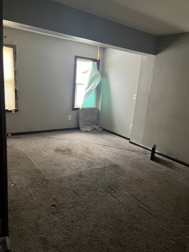 8427 Piedmont St, Detroit, MI 48228 - photo 6