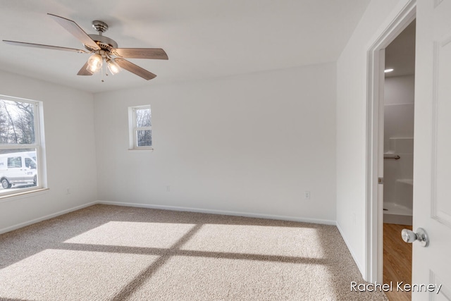 carpeted empty room featuring a wealth of natural light and ceiling fan