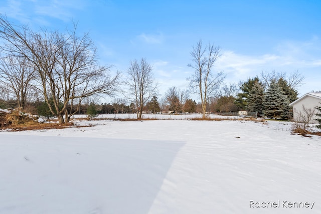 view of snowy yard