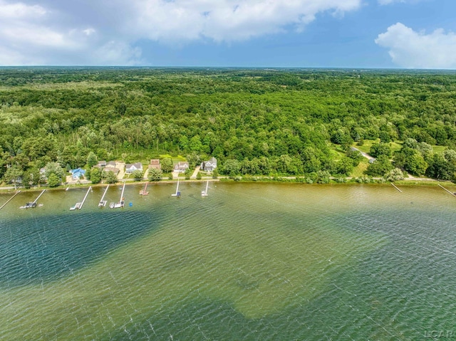 6700 Hallenbeck Hwy, Manitou Beach MI, 49253 land for sale