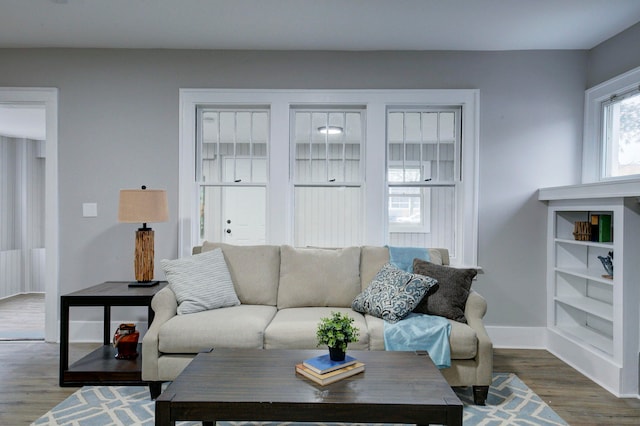 living room with hardwood / wood-style floors