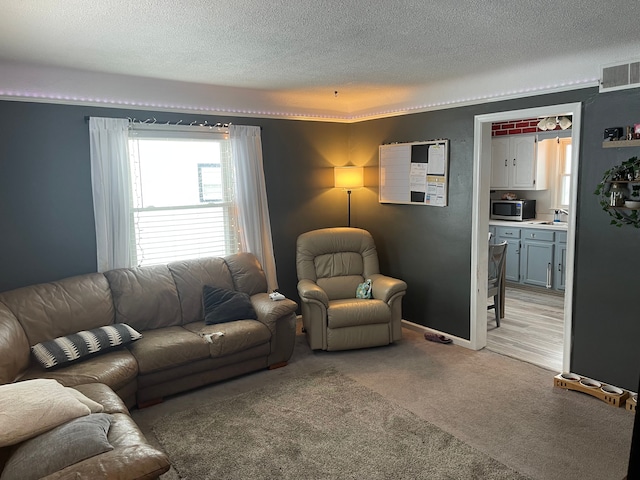 carpeted living room with a textured ceiling and sink