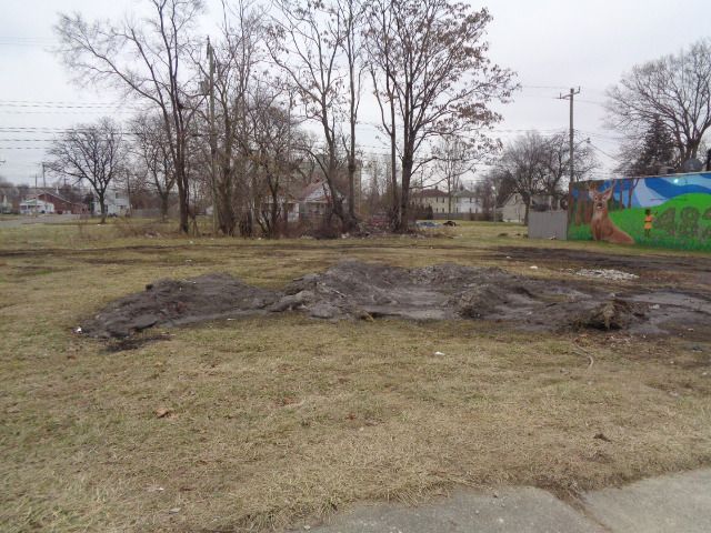2601 S Fort St, Detroit, MI 48217