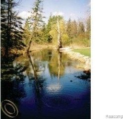 10321 Knight, Grass Lake MI, 48240 land for sale