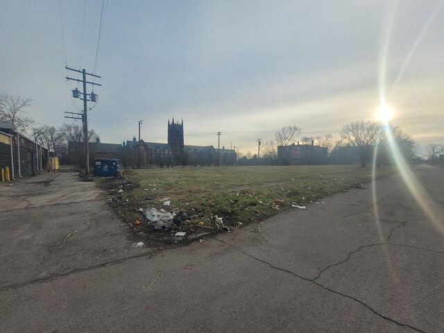 2629 Rochester St, Detroit, MI 48206 - photo 3
