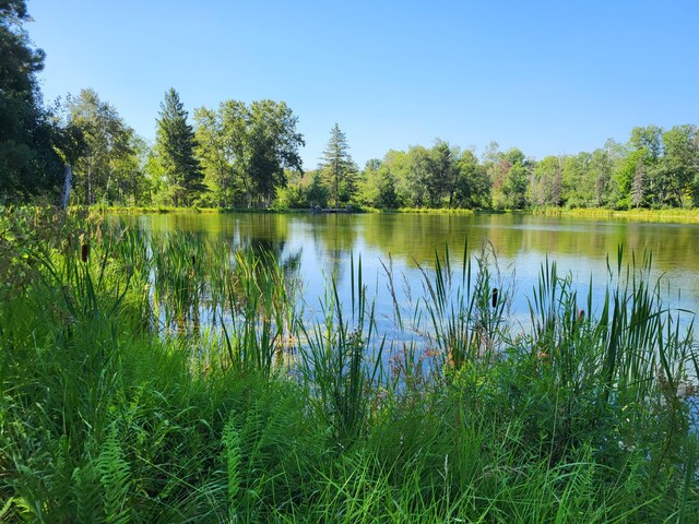 100 W Adams Rd, Farwell, MI 48622 - water view with a forest