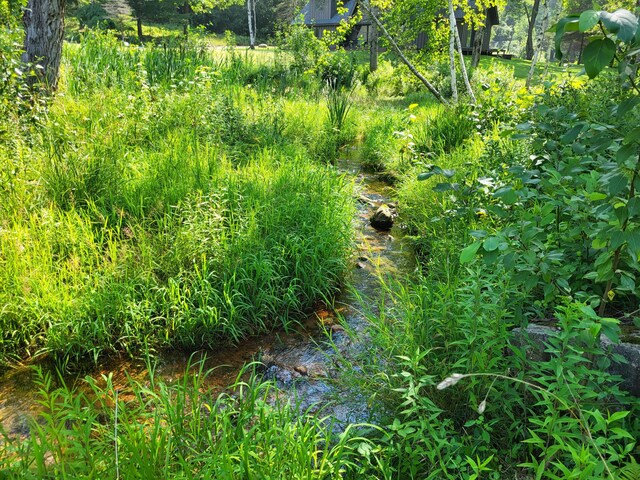 100 W Adams Rd, Farwell, MI 48622 - view of nature