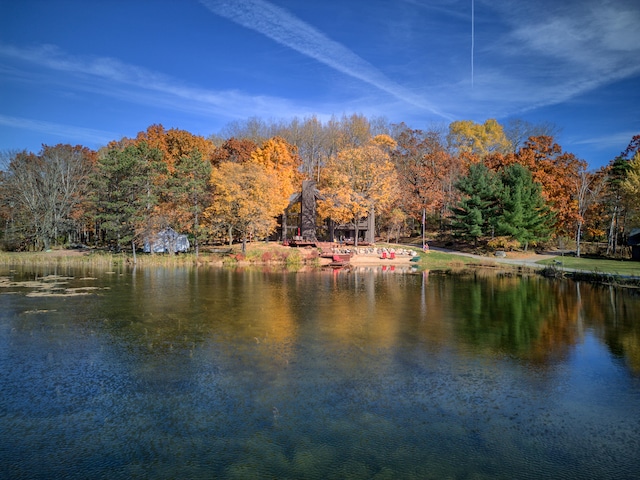 100 W Adams Rd, Farwell, MI 48622 - water view with a heavily wooded area