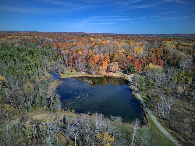 100 W Adams Rd, Farwell, MI 48622 - aerial view of property's location featuring a heavily wooded area and a large body of water