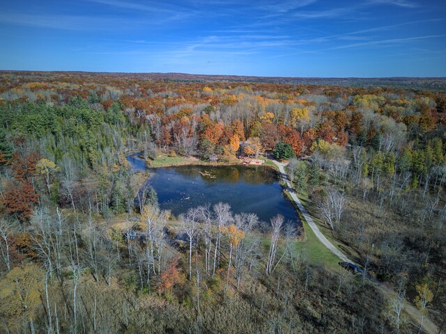100 W Adams Rd, Farwell, MI 48622 - aerial view of property and surrounding area with a heavily wooded area and a large body of water