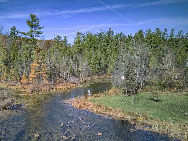 100 W Adams Rd, Farwell, MI 48622 - water view featuring a forest