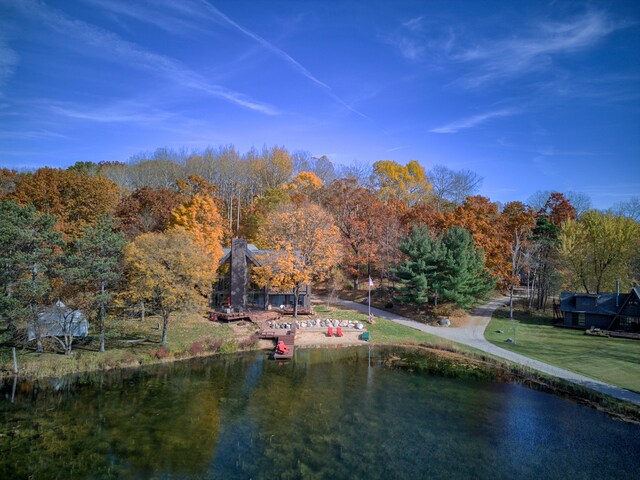 100 W Adams Rd, Farwell, MI 48622 - water view with a forest