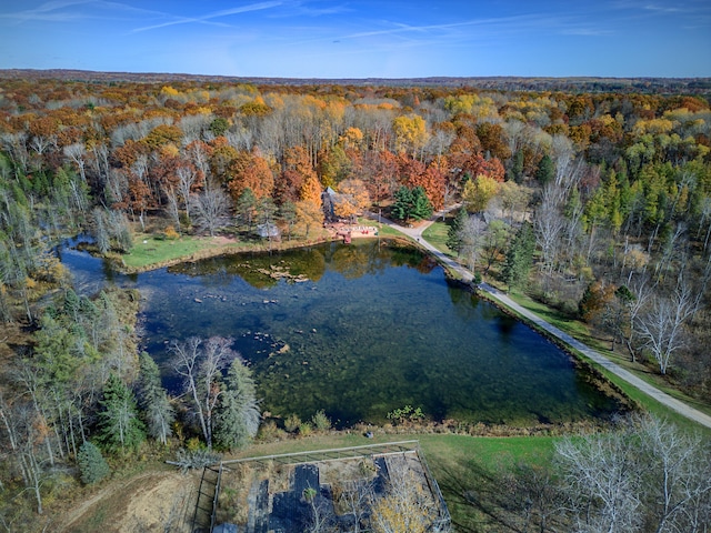 100 W Adams Rd, Farwell, MI 48622 - view of property location featuring a heavily wooded area and a large body of water