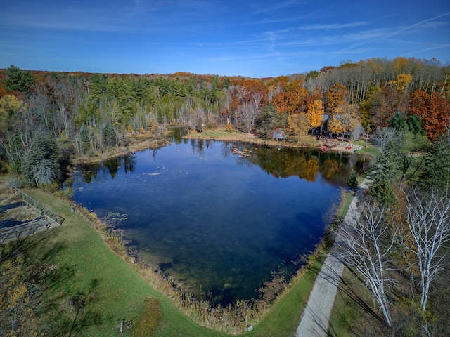 100 W Adams Rd, Farwell, MI 48622 - water view with a forest