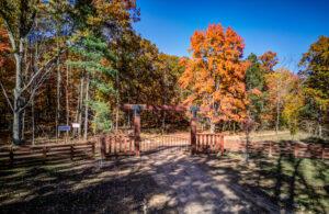 100 W Adams Rd, Farwell, MI 48622 - view of yard with a view of trees