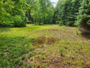 100 W Adams Rd, Farwell, MI 48622 - view of wooded area