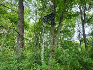 100 W Adams Rd, Farwell, MI 48622 - view of tree filled area