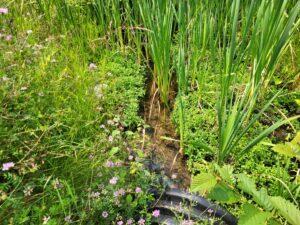 100 W Adams Rd, Farwell, MI 48622 - view of undeveloped land