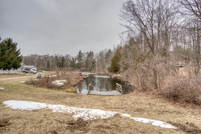 view of yard with a water view