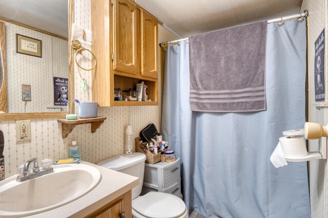 17370 Summit St, Barryton, MI 49305 - bathroom featuring wallpapered walls, toilet, vanity, and a shower with curtain