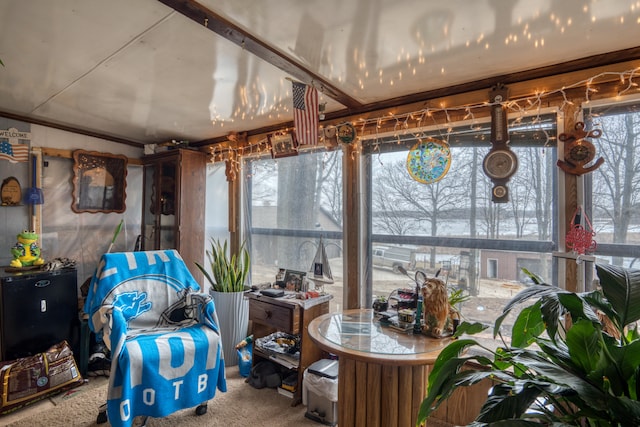 sunroom with a healthy amount of sunlight