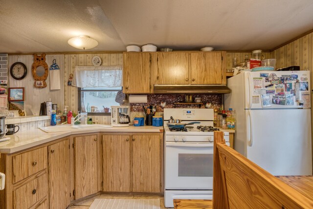 17370 Summit St, Barryton, MI 49305 - kitchen with white appliances, under cabinet range hood, light countertops, wood walls, and a sink