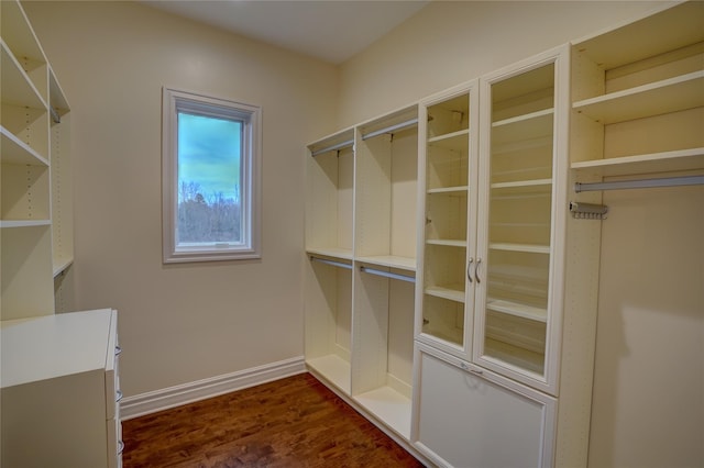 walk in closet with dark hardwood / wood-style floors