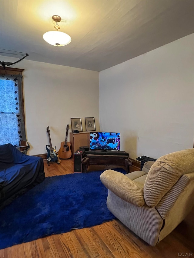 living room featuring hardwood / wood-style flooring