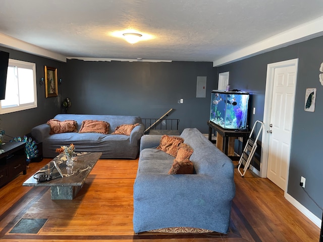 living room with a textured ceiling and hardwood / wood-style flooring