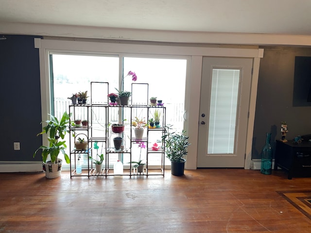 entryway featuring hardwood / wood-style floors and baseboard heating