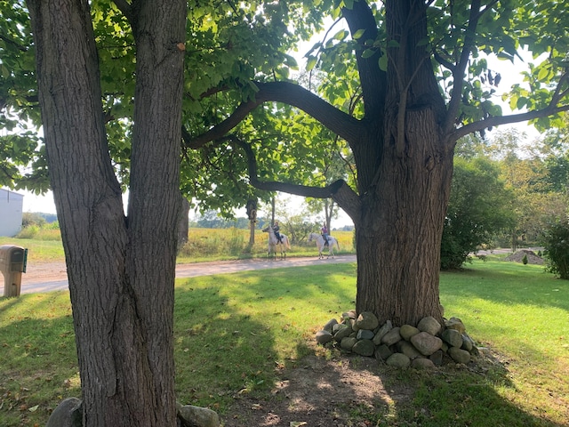 view of home's community with a yard