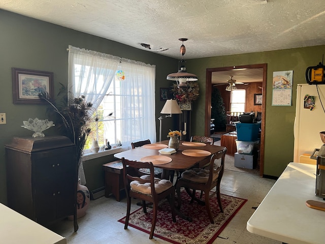 dining space featuring a wealth of natural light, ceiling fan, and a textured ceiling