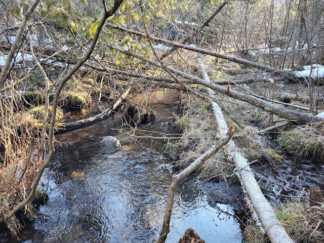 view of nature