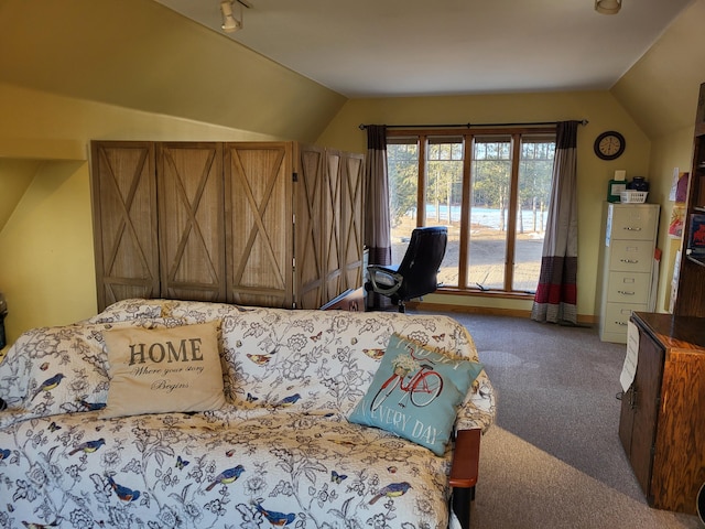 bedroom featuring carpet and vaulted ceiling