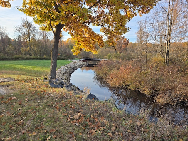 view of water feature