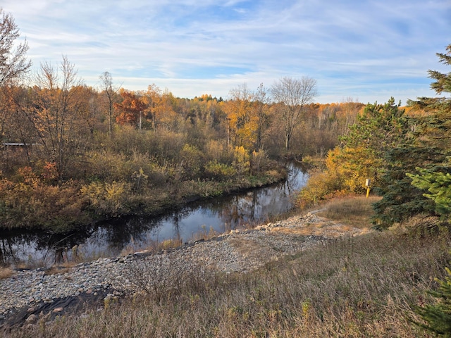 property view of water