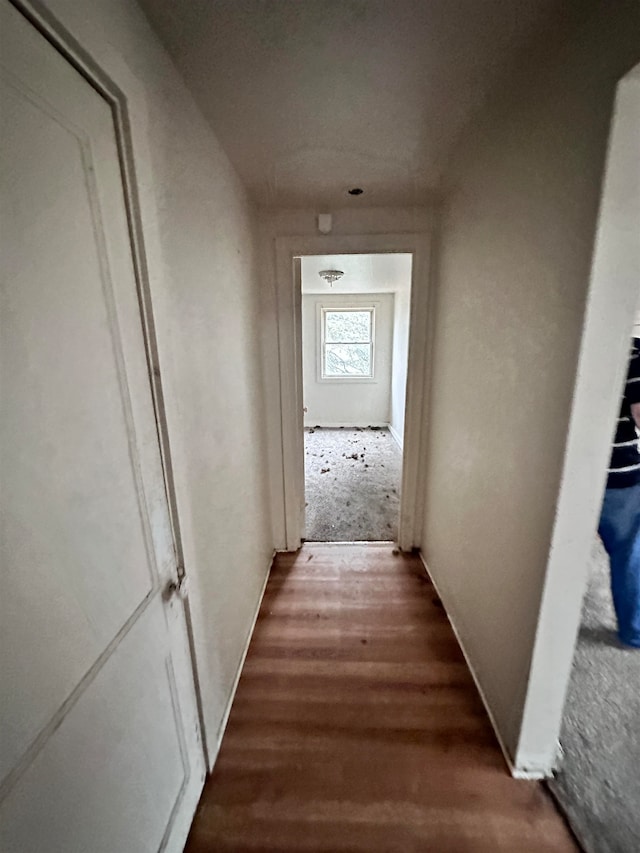 hallway featuring hardwood / wood-style floors