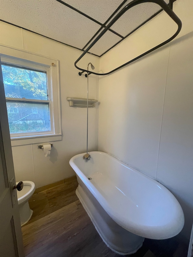 bathroom with hardwood / wood-style floors, a drop ceiling, toilet, and a bath