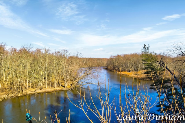 3115 Riverbend Trl, Fennville, MI 49408 - photo 24