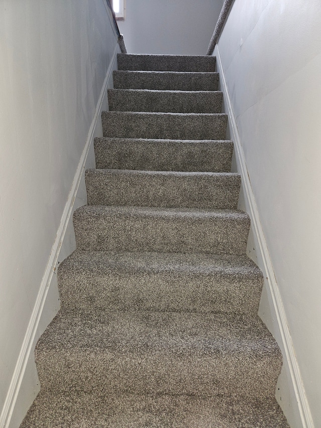 stairs with carpet floors