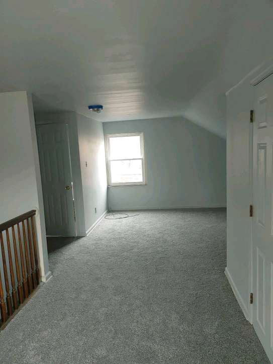 bonus room featuring carpet floors and vaulted ceiling