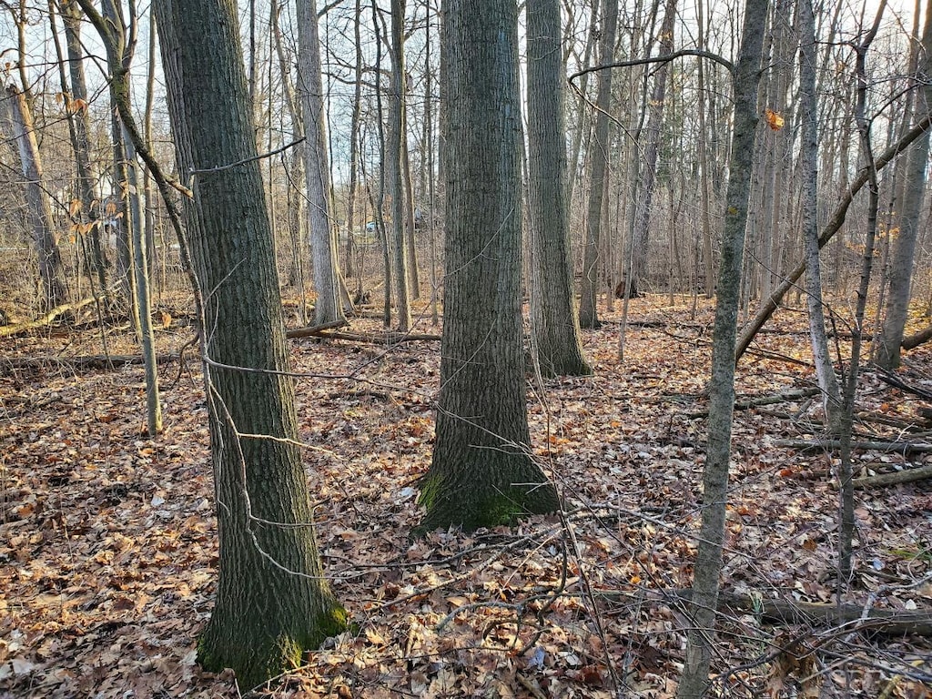 Arboretum Dr, Saginaw, MI 48638 - photo 1