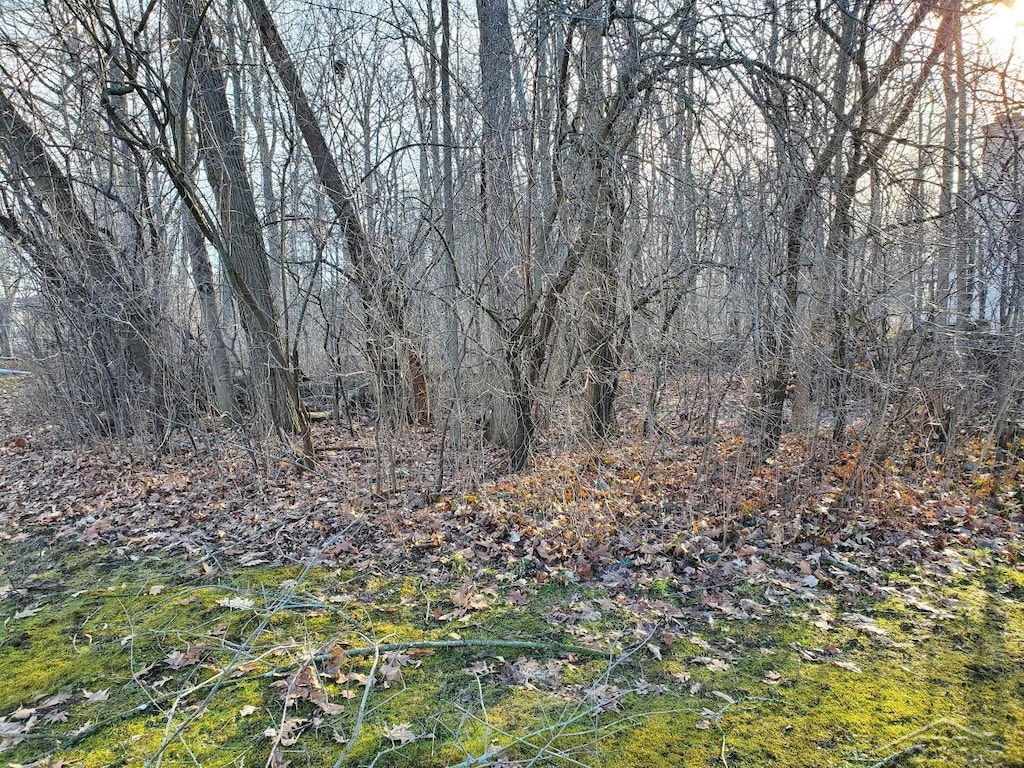 Arboretum Dr, Saginaw, MI 48638 - photo 2