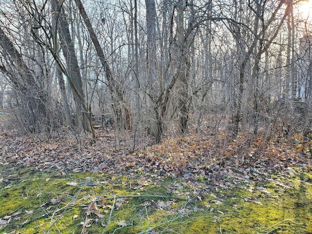 Arboretum Dr, Saginaw, MI 48638 - photo 2
