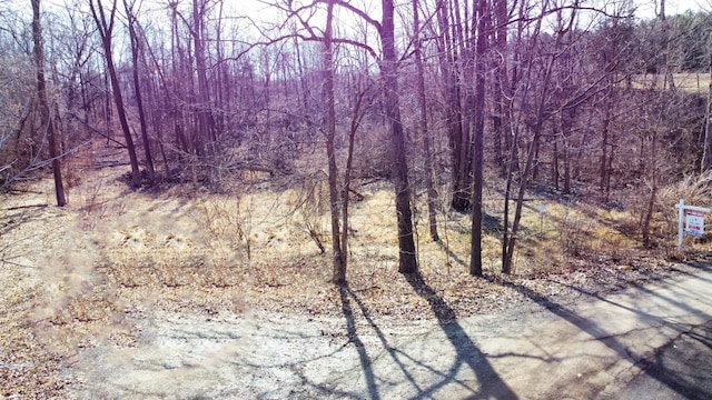 Listing photo 2 for LOT66 Preserve Dr, Fenton MI 48430