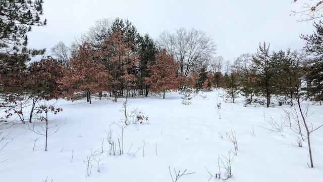 Listing photo 3 for LOT19 Wingert St, Brethren MI 49645