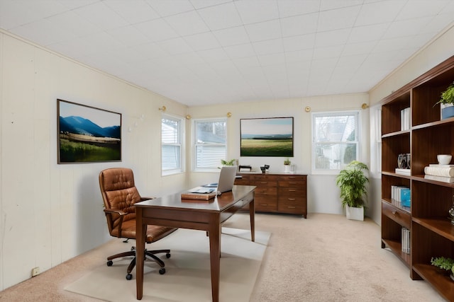 office with light colored carpet