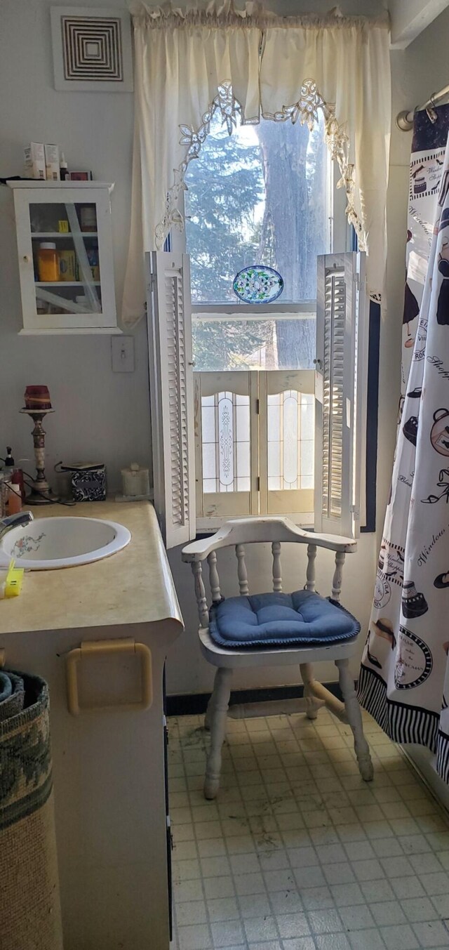 4851 Dowling St, Montague, MI 49437 - bathroom featuring plenty of natural light and vanity