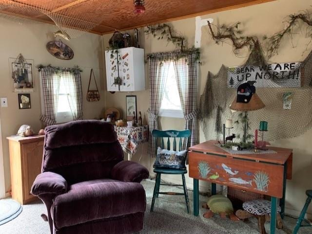 living area with carpet flooring and plenty of natural light